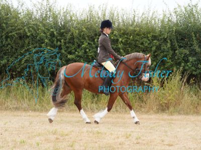 DSC04695