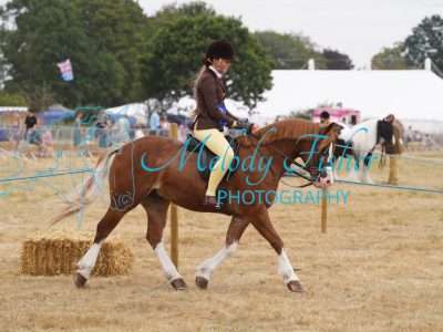 DSC04708
