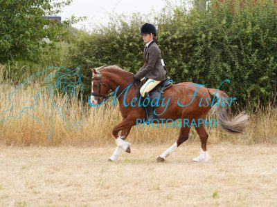 DSC04720