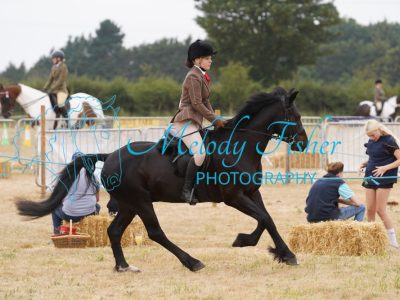 DSC04597