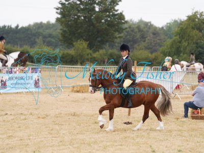 DSC04607