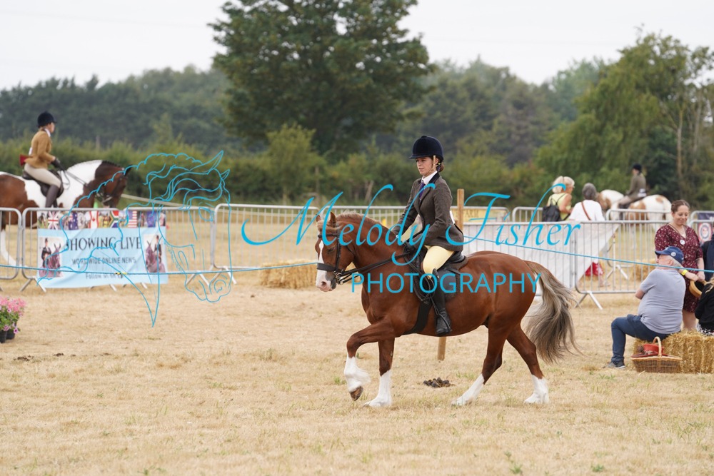 DSC04607