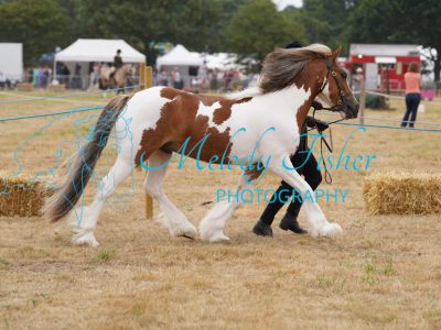 DSC04493