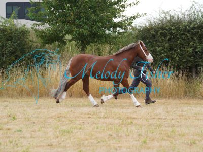 DSC04110