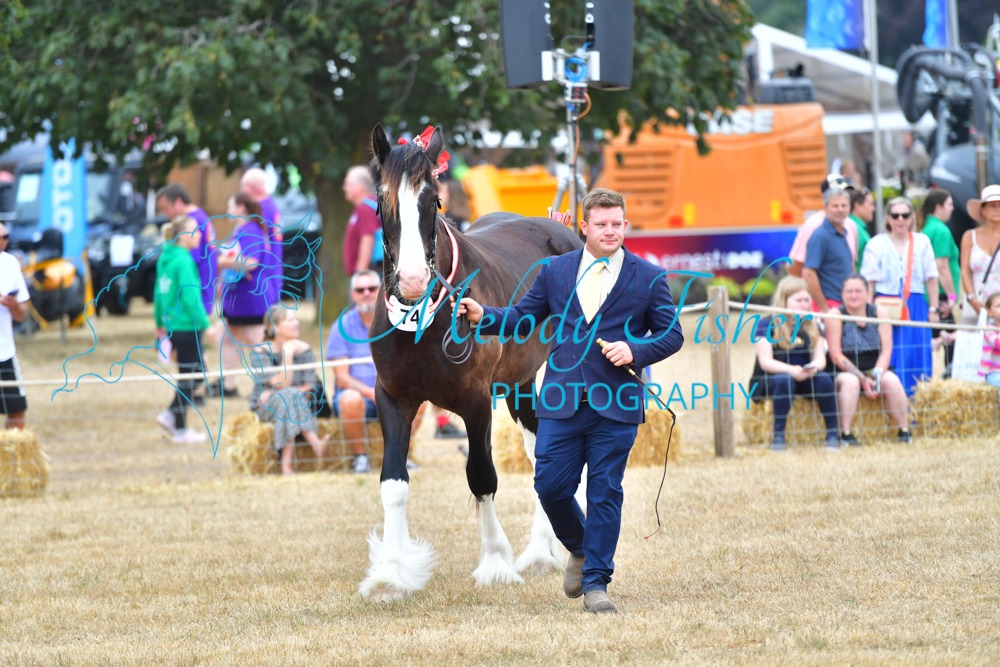 AD5_7556