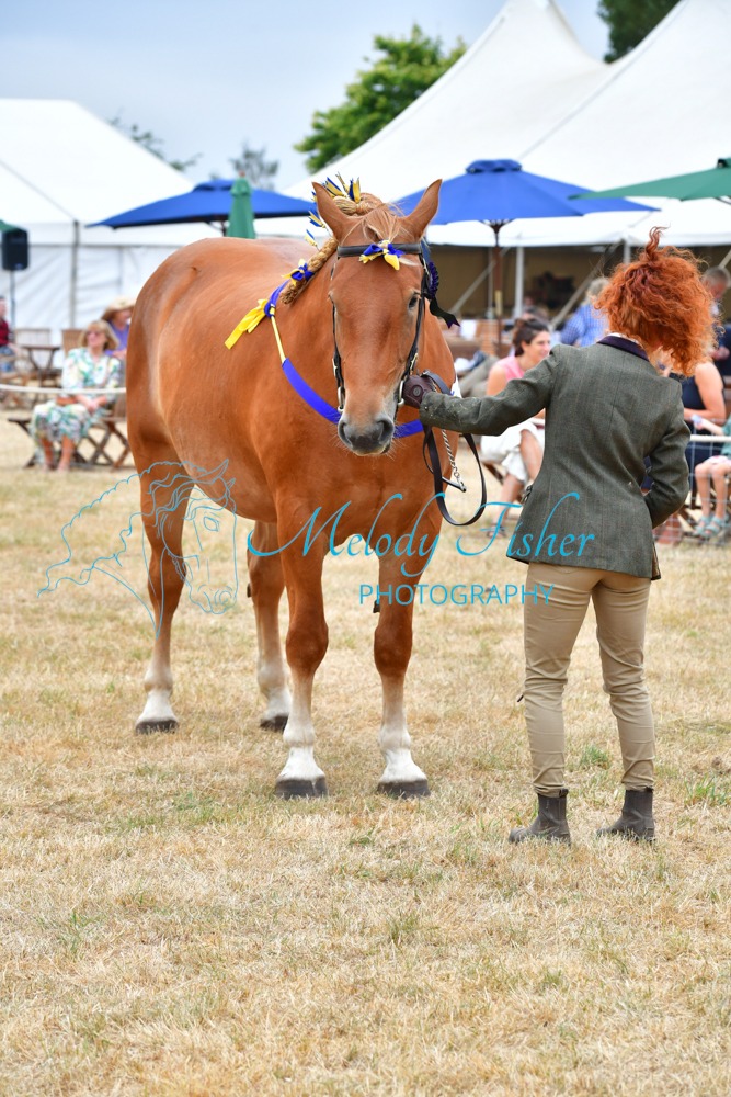 AD5_7607