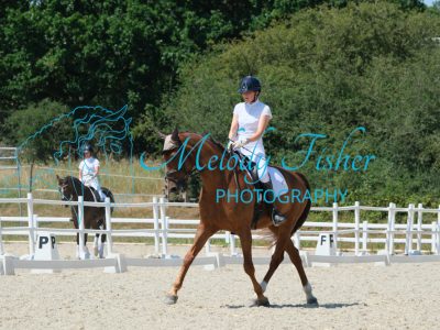 CPRE0238