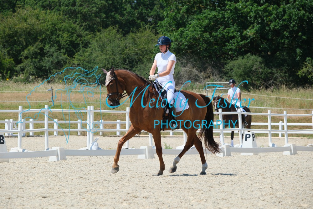 CPRE0239
