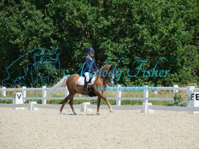 CPRE9817