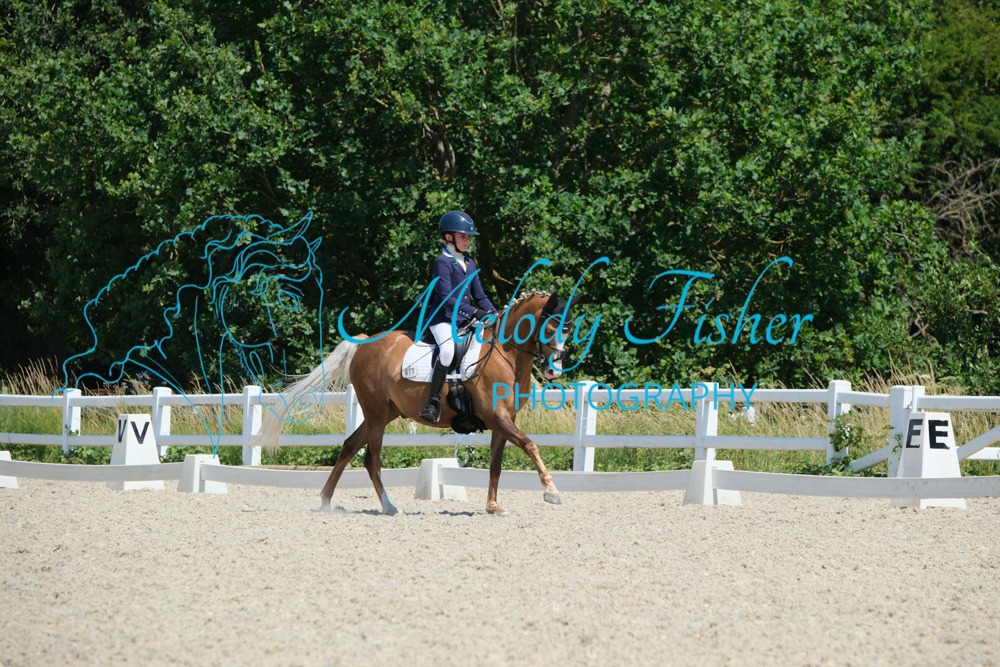 CPRE9817