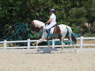 CPRE0098