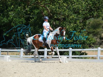 CPRE9919