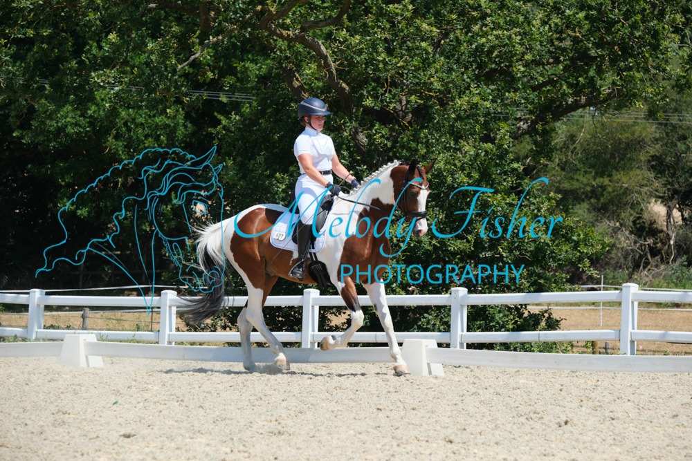 CPRE9919