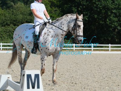 CPRE9279