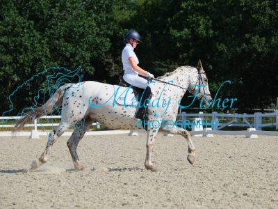 CPRE9288