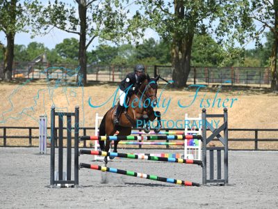 MFP_0781