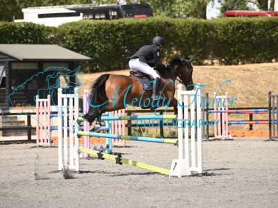 MFP_0784