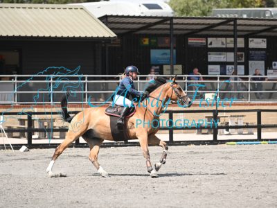 MFP_0794
