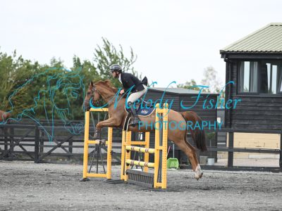MFP_0279