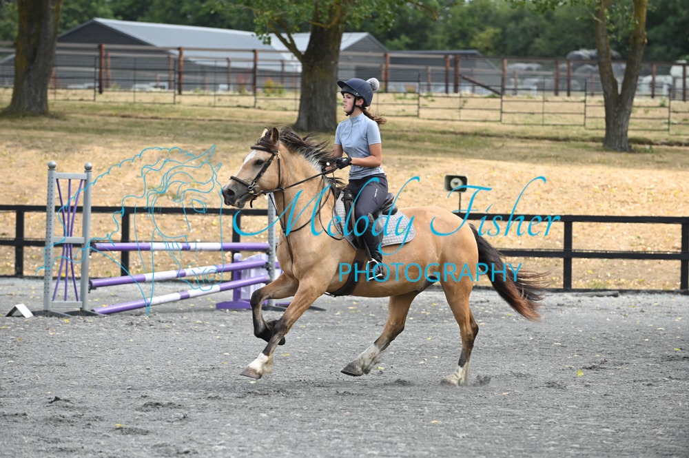 MFP_0234