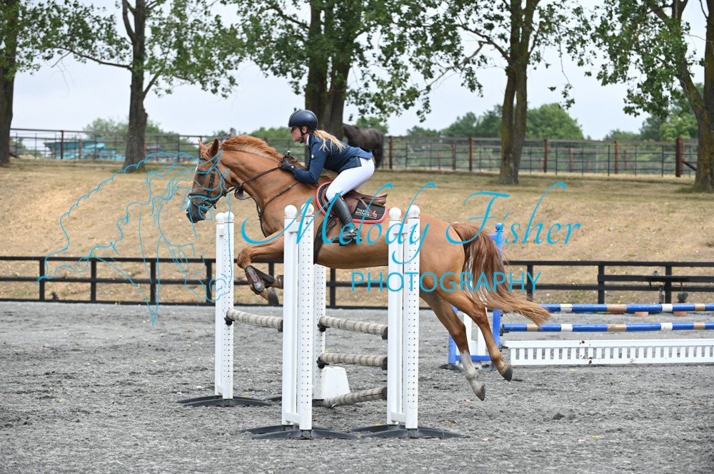 MFP_0384
