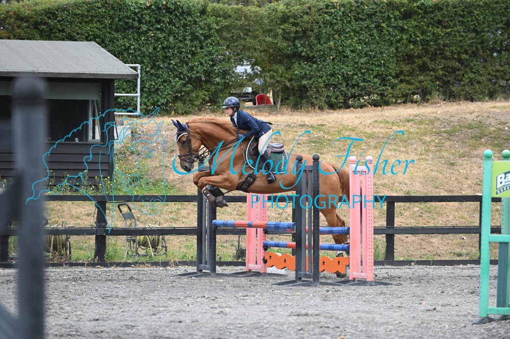 MFP_0390