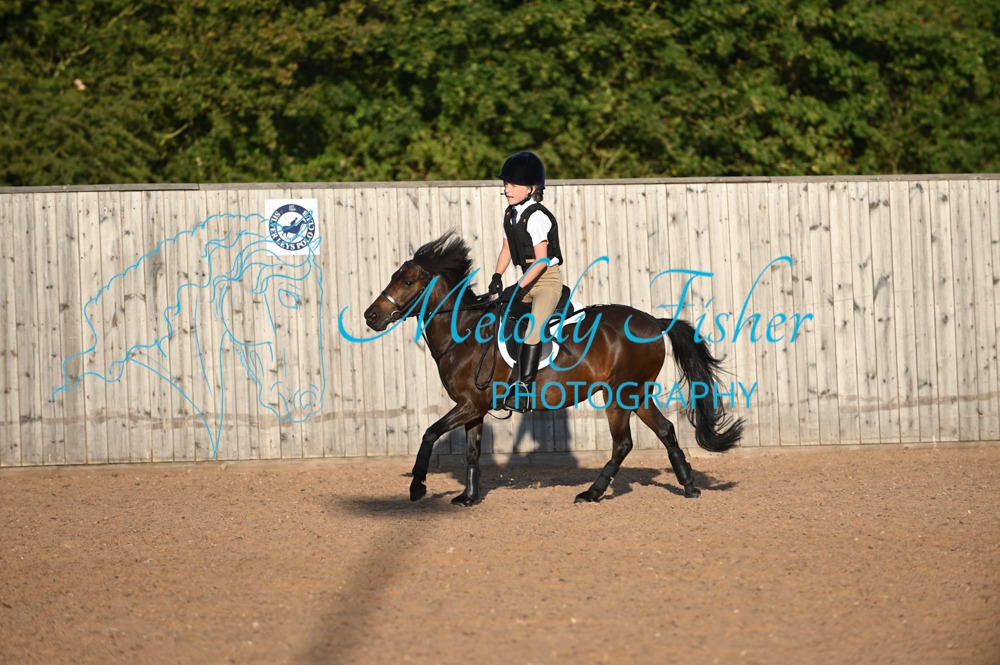 MFP_0991