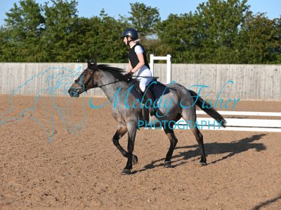 MFP_0951