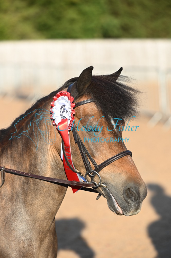 MFP_0975