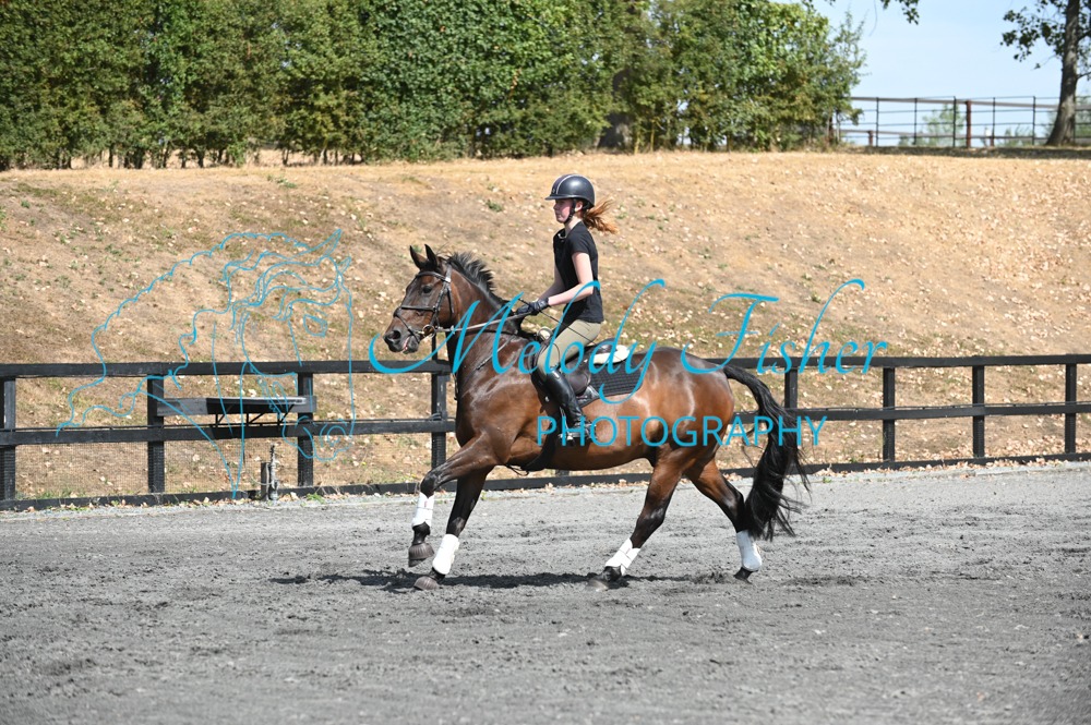 MFP_2917
