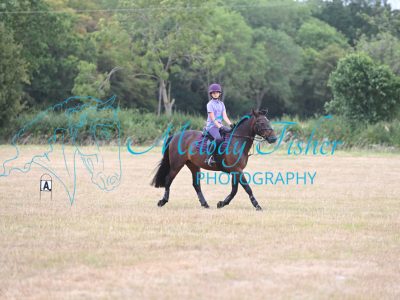 MFP_2338