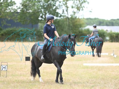 MFP_2395