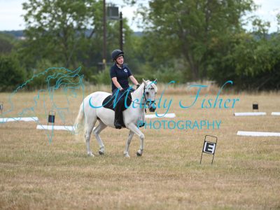 MFP_2397