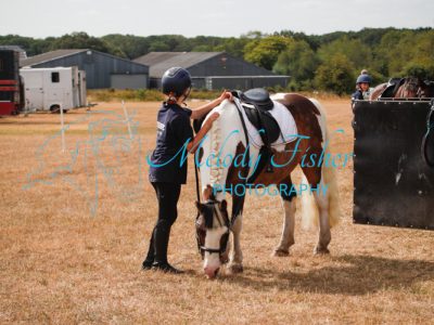 MG_0241