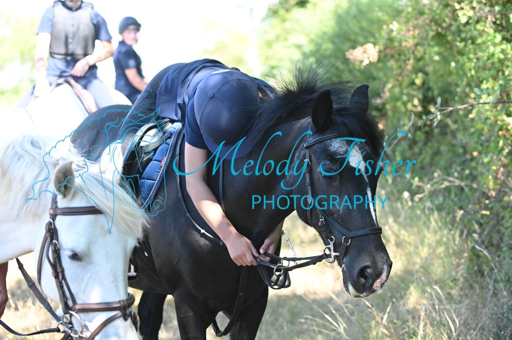 MFP_2648