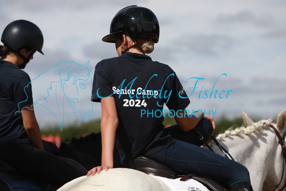 025A3299