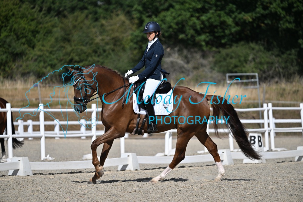 SMR_0208