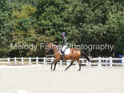 DSC07071