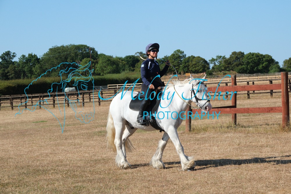 CPRE0785