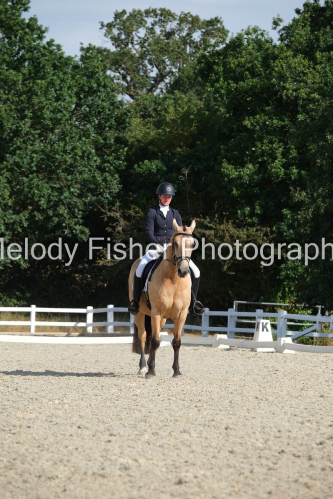 CPRE4149