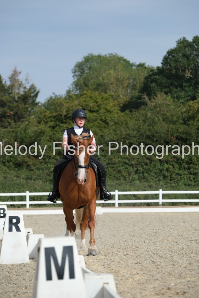 CPRE4173