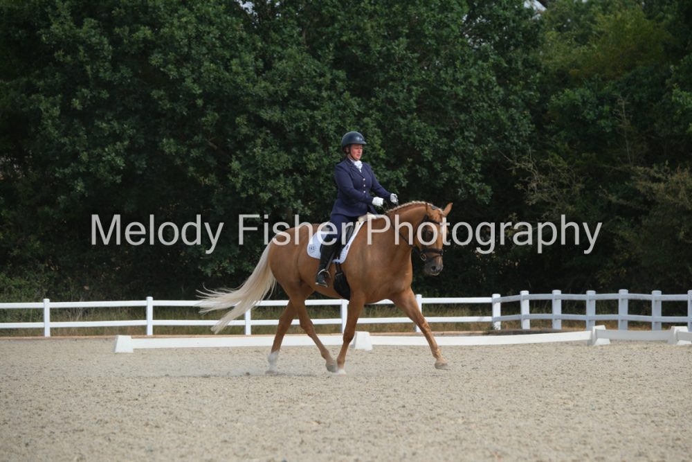 CPRE4196
