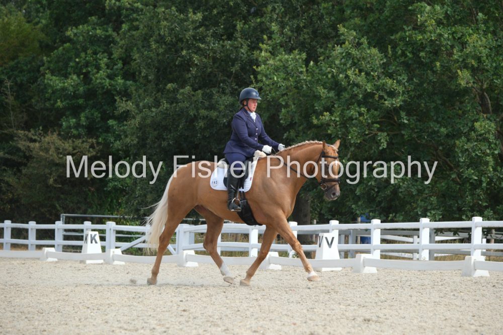 CPRE4197