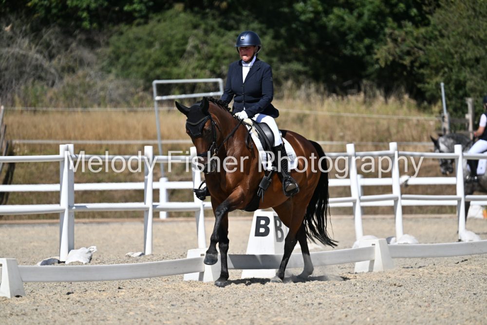 SMR_0233