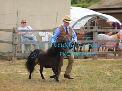 CG1_2527