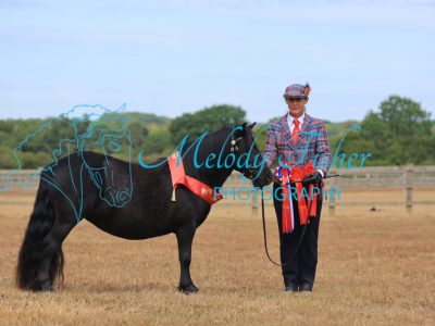 CG1_2547