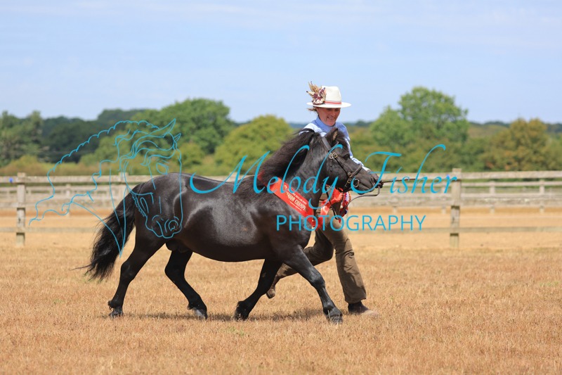 CG1_2695