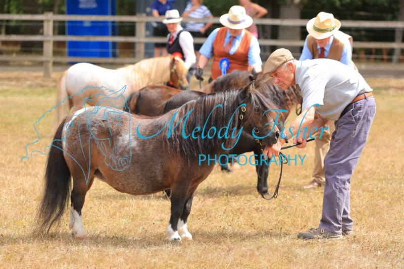 CG1_2719