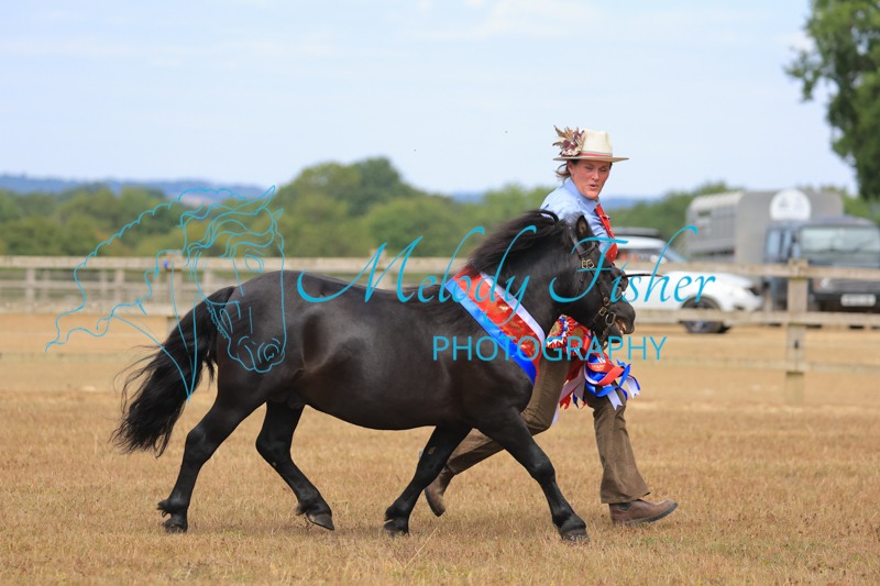 CG1_3171