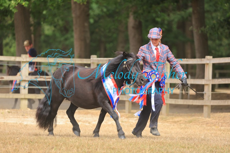 CG1_3199